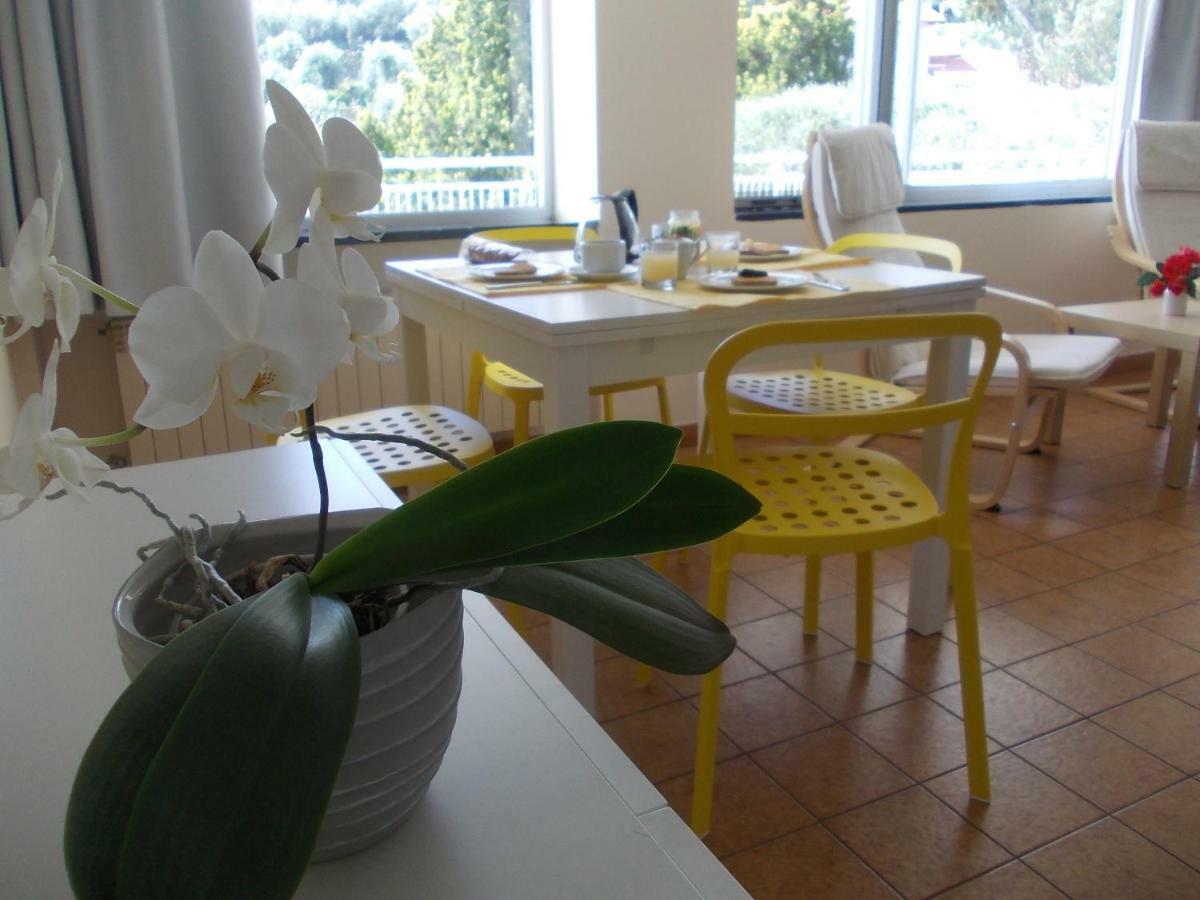 Residence La Carruba Diano Marina Kültér fotó